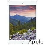 Ремонт Apple iPad mini 3 в Кирове