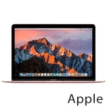 Ремонт Apple MacBook Mid в Кирове