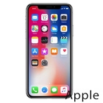 Ремонт iPhone X(10) в Кирове